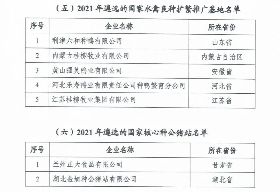 20220413160291119111 bat365(中国)在线平台官方网站-登录入口